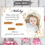 wzór M101 na tle.jpg